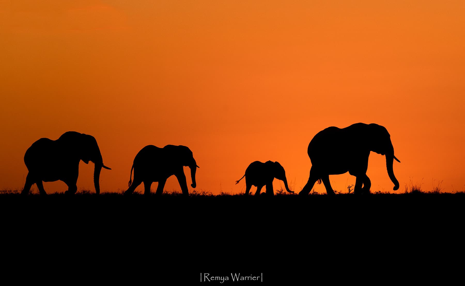 Banner image: Wilderness