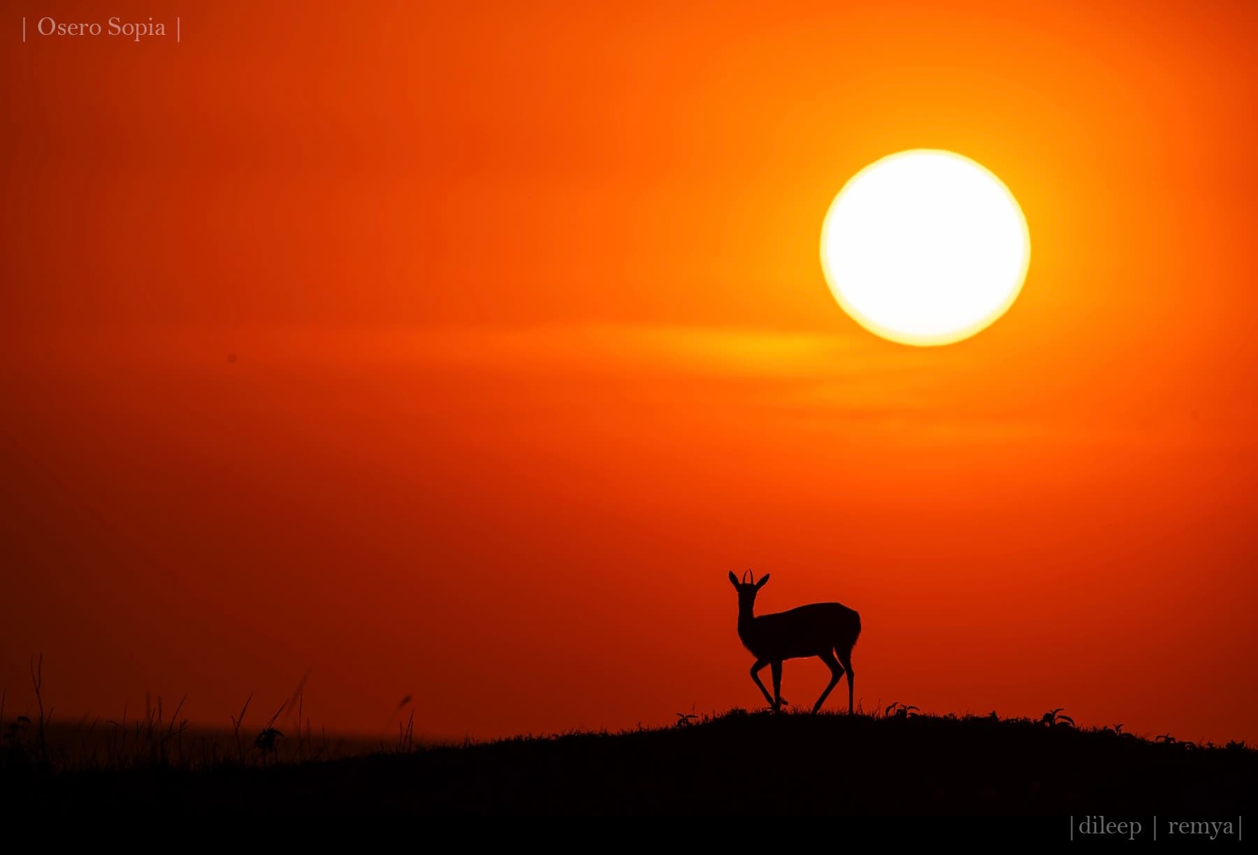 Banner image: Wilderness