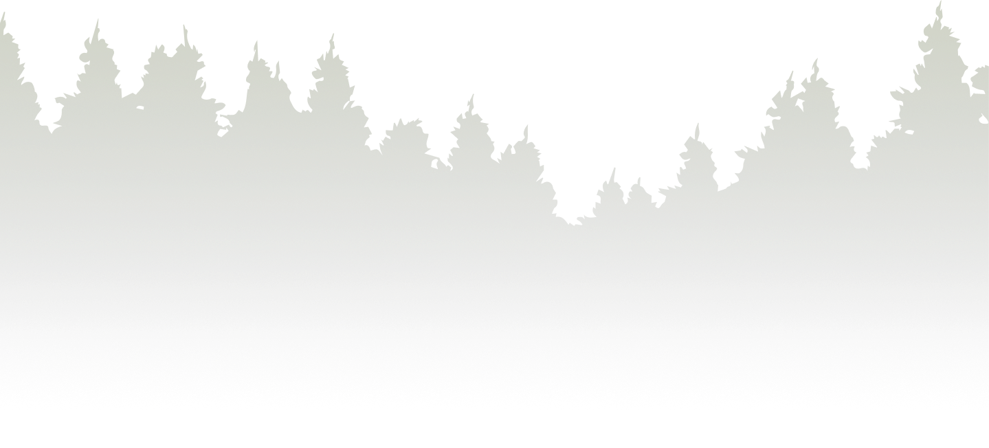 Decorative background graphics